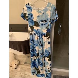 NWT Paper Crown Blue and White Dayflower Maxi